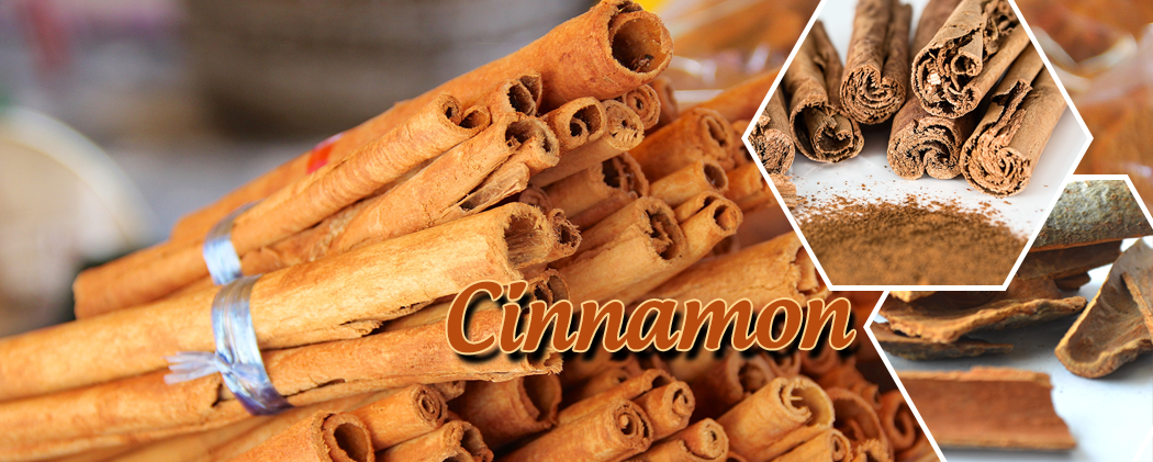 Banner Cinnamon